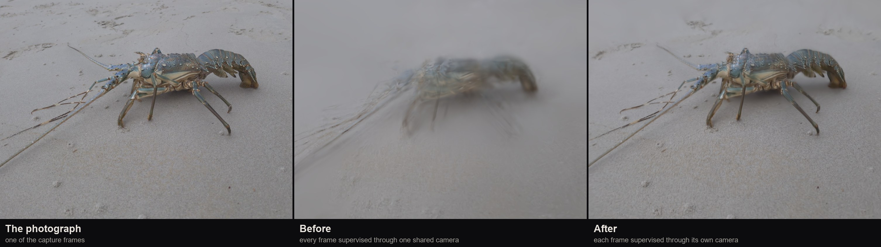 A lobster on sand: the photograph, a render from before a fix where the animal is an unrecognisable smear, and a render from after where legs, antennae and footprints are all resolved.