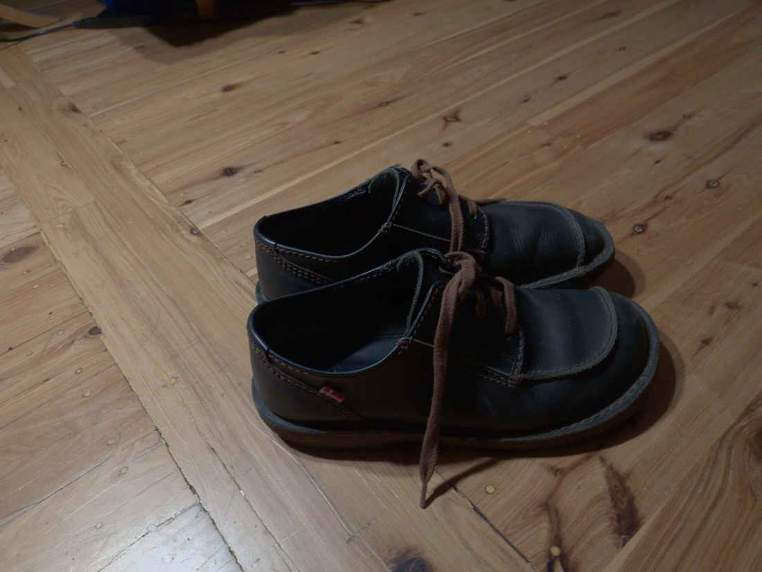 Photograph of a pair of leather shoes on an oak floor.